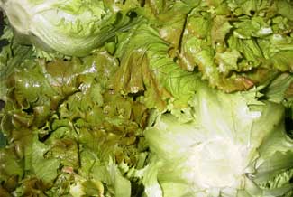 Lechuga maravilla