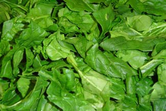 Espinacas troceadas