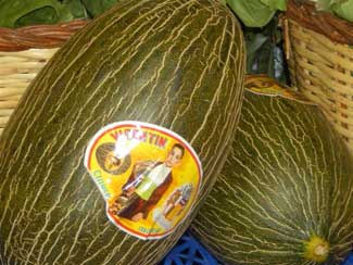 MelÃ³n vicentin