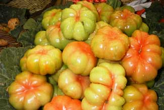 Tomate Montserrat