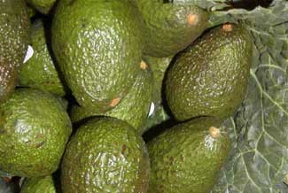 Aguacates