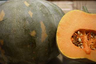 Calabaza
