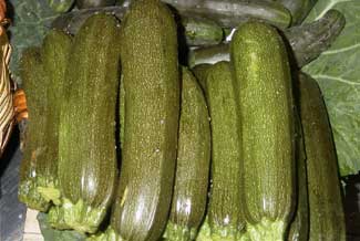 Calabacin