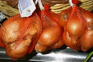 Cebollas escalonia