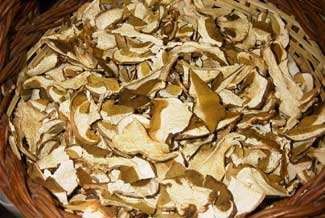 Ceps (seco)