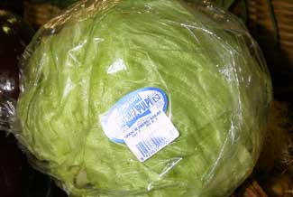 Lechuga Iceberg