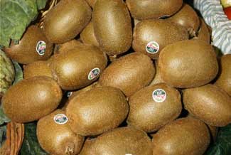 Kiwi