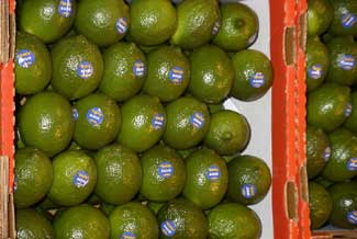 Limas