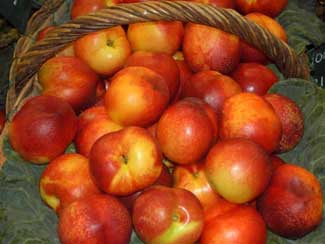 Nectarina