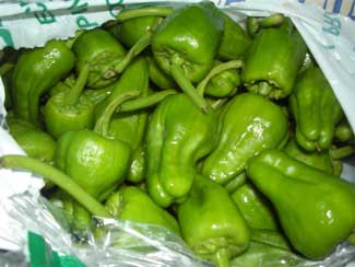 Pimientos del padrón