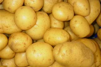 Patata blanca