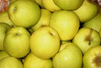 Manzana Golden