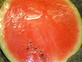 Sandia