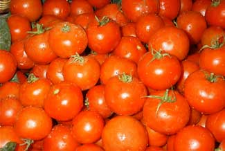 Tomate de untar