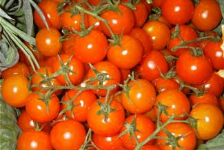 Tomate Cherry