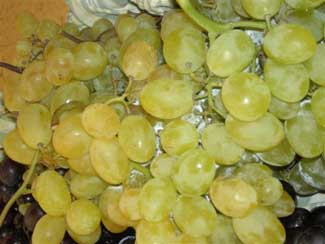 Uva blanca,