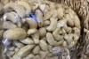 Anacardo