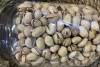 Pistachos