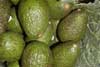 Aguacates