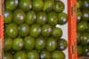 Limas