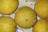 Melón galia