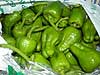 Pimientos del padrón