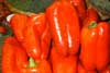 Pimiento rojo