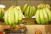 Platano