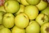 Manzana Golden