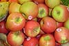 manzana pink lady
