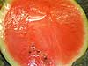Sandia