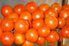Tomate de colgar