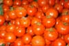 Tomate de untar