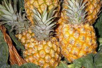 Pinya  petita